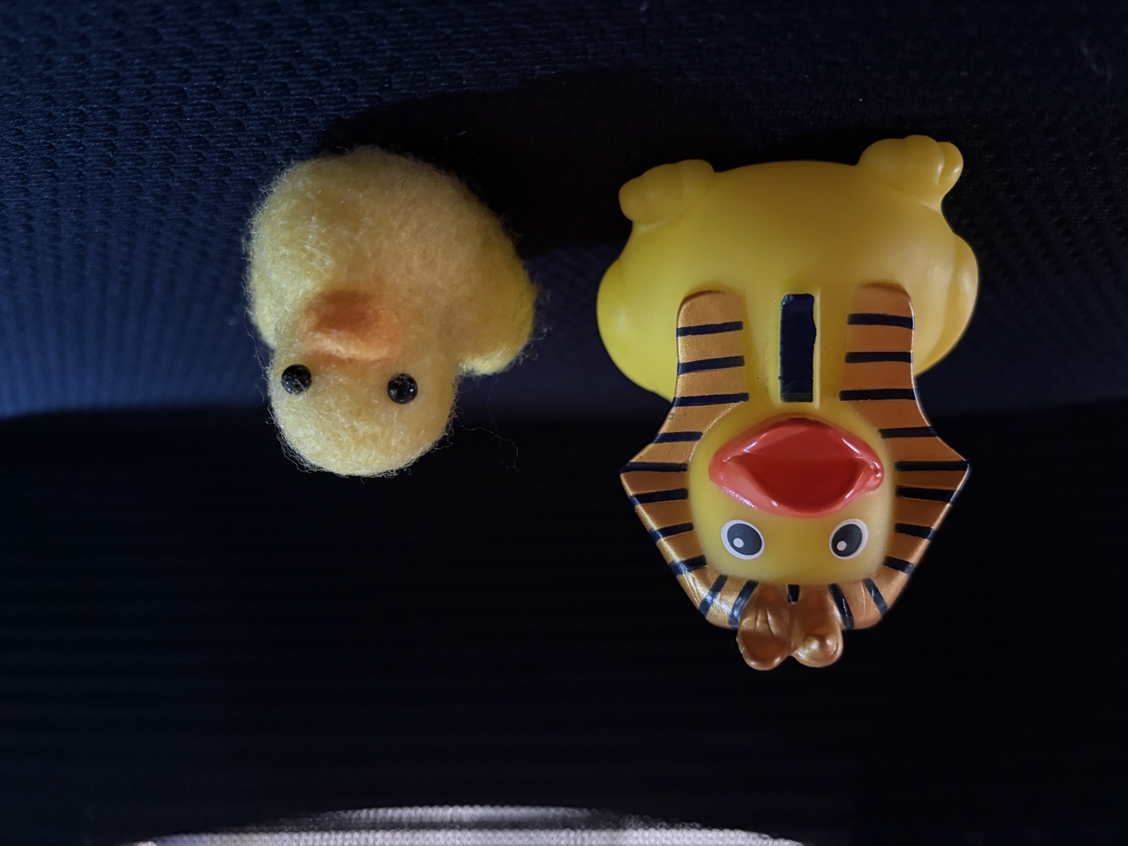 ならんだあひると、羊毛のひよこ
